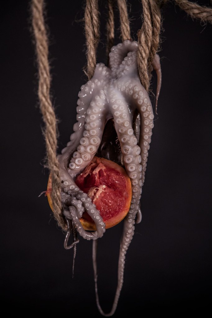 untitled, 2014 © veronica a. perez