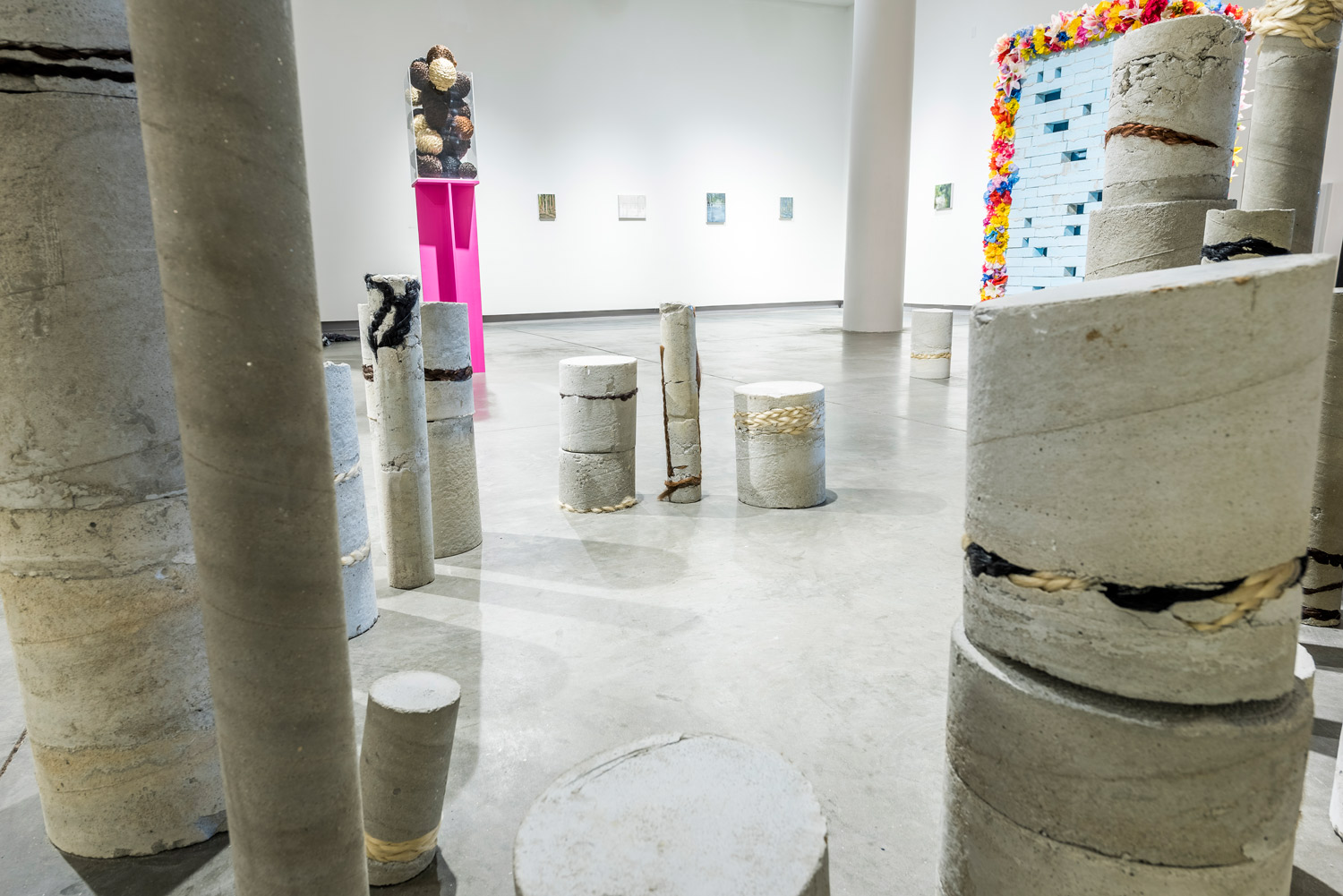 5_hairpillars_Perez_2016